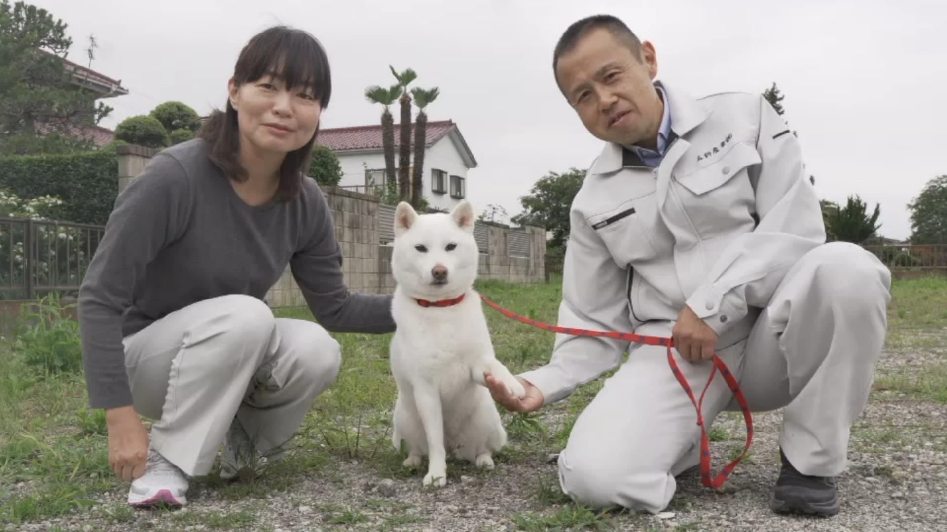 代表取締役 土田文月